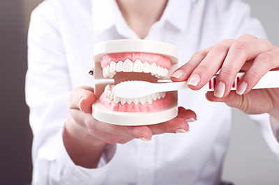 The image shows a person s hand holding a toothbrush over an open mouth model with teeth, positioned in front of a real human face, which appears to be that of a dental professional.