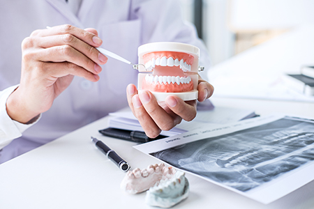 The image shows two different scenes  on the left, a dental professional holds up a model mouth with teeth, examining it closely  on the right, a hand holds a toothbrush and toothpaste, suggesting oral hygiene practices.