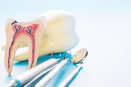 An image depicting two toothbrush models with toothpaste, placed beside each other on a table with dental instruments and a model of a human mouth with teeth, gums, and tongue in the background.